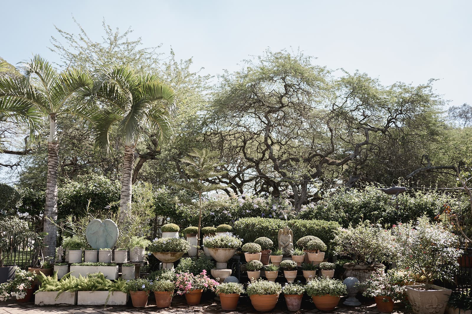 Charo Outdoor Living